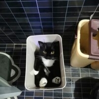 looking for sleeping place friday and saturday night for 2 flinta* ✰